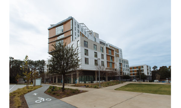 NTPLLN Blog Post – Featured Image-01