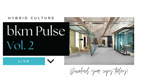 bkm pulse vol 2 blog featured image